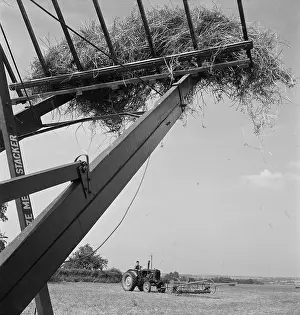 Munden: Haymaking