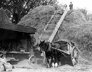 Haymaking: Haymaking