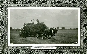 Haymaking: Haymaking