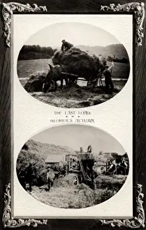 Haymaking: Haymaking