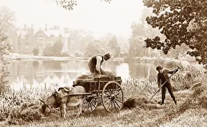 Haymaking: Haymaking on the banks of the River Thames