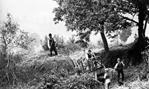 Branscombe: Haymaking in Branscombe, Devon