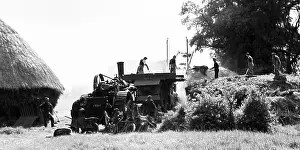 Haymaking: Haymaking early 1900s