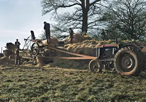 Haymaking: Haymaking in a field