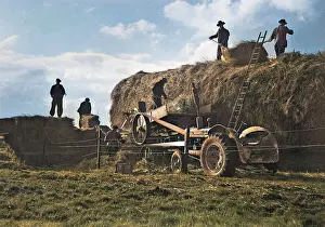 Haymaking: Haymaking in a field