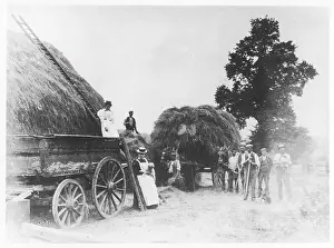 Hayricks: HAYMAKING IN HIGHGATE