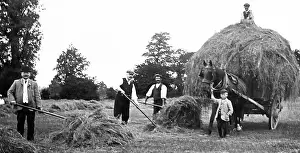 Haymaking: Haymaking, Hoby