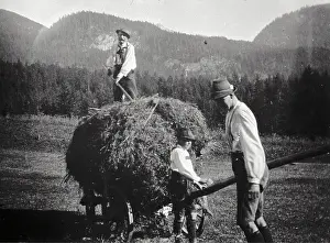 Mautner: When haymaking. Two men on a hay cart. One top. About