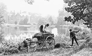 Haymaking: Haymaking - rural idyll - Victorian period