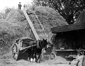 Haymaking: Haymaking Threshing