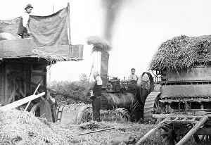 Haymaking: Haymaking with a traction engine