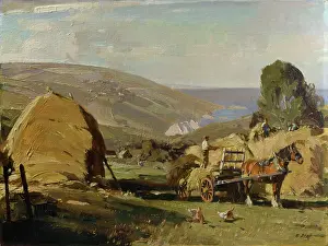 Haymaking: Haymaking ' with view of coast