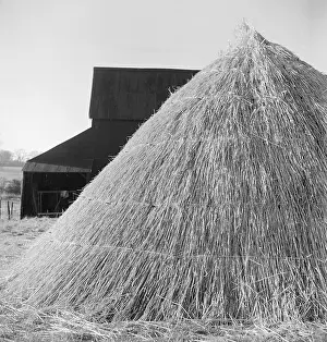 Munden: Haystack