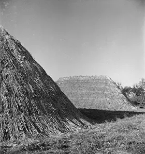 Munden: Haystack