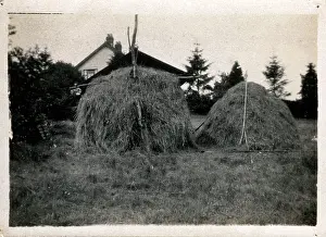 Sevenoaks: Haystacks, Knockholt, Kent