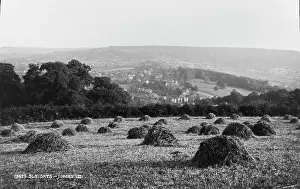Pastoral: Haystacks in Sleights