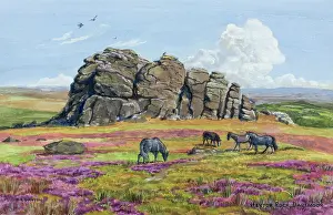Haytor: Haytor Rock, Dartmoor, Devon
