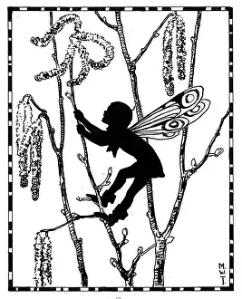 Hazel: Hazel Catkins Fairy