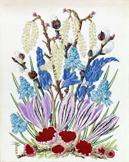 Suzanne: Hazel Catkins, Grape Hyacinths, Crocus etc