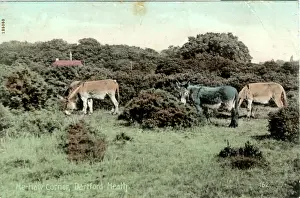 Dartford: He-haw Corner, Dartford Heath, Kent