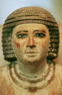 Calcareous: Detail of the head of
