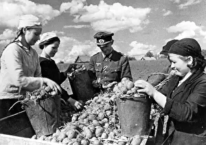 Planted: A head of an agricultural administration of Wi-ko