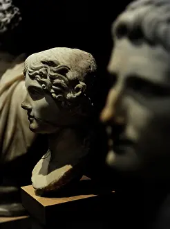 Noblewoman: Head of Agrippina the Elder (14 BC-33 AD). Marble