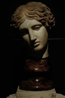Capitoline: Head of an Amazon. Marble. Copy from an original of the 5th