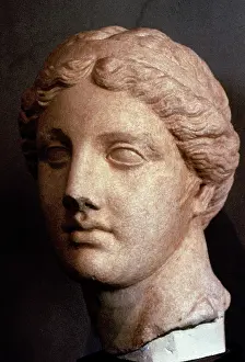 Barracco: Head of Aphrodite