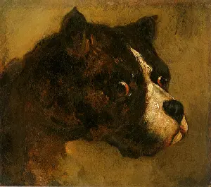 Canines: Head of a Bulldog, by Gericault