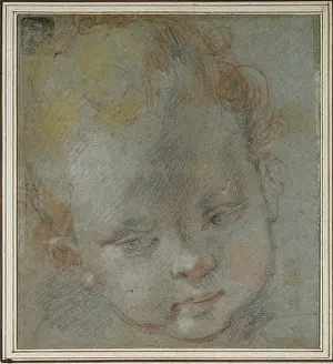 Barocci: Head of a Child