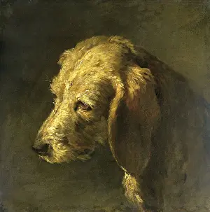 Charlet: Head of a Dog