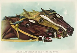 C1884: Head and head at the winning post