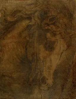 Outlines: The Head of a Horse