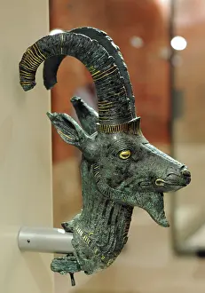 Egyptians: Head of an ibex. Dynasty 21. Egypt