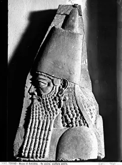 Sargon: The head of King Sargon