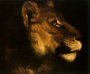 Gericault: Head of the Lioness, by Gericault