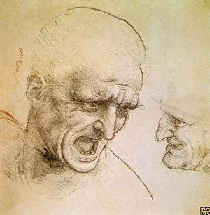 Frowning: Head of a Man Shouting, by Leonardo da Vinci