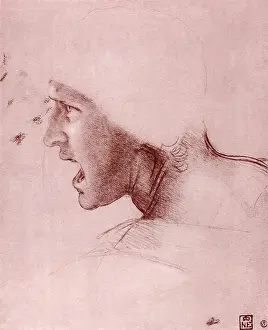 Shout: Head of a Man Shouting, by Leonardo da Vinci