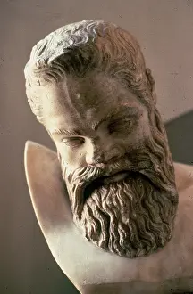 Marsyas: Head of Marsyas, copy of