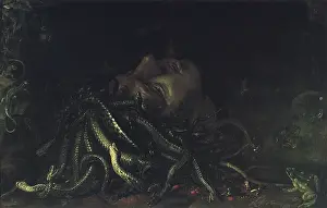 Toads: Head of Medusa