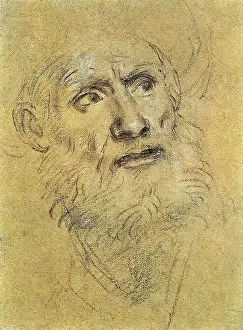 Concerned: Head of Old Man