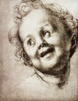 Agnolo: Head of a putto, drawing