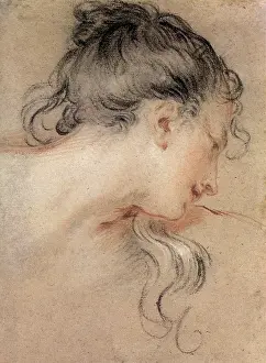 Curls: Head of Woman