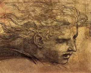 1517: Head of a young man, by Raphael