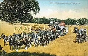 Thresher: HEADER/THRESHER USA