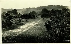 Epsom: Headley Heath, Headley, Surrey