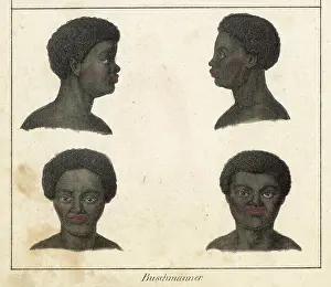 Bushmen: HEADS OF BUSHMEN