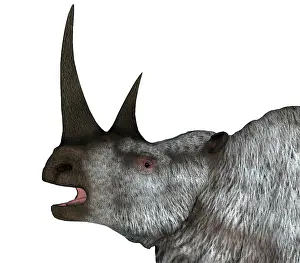 Pleistocene: Headshot of a woolly rhino