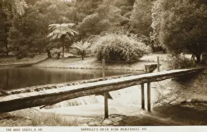 Donnelly: Healesville, Australia